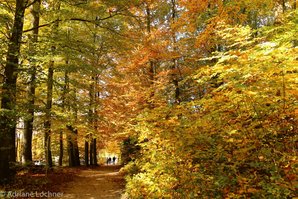 Goldener Herbst in Sanspareil und Schirradorf