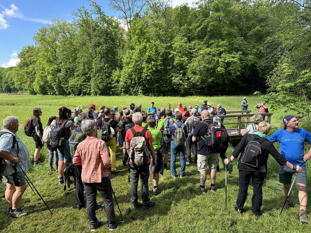 Die Wanderer auf der Strecke